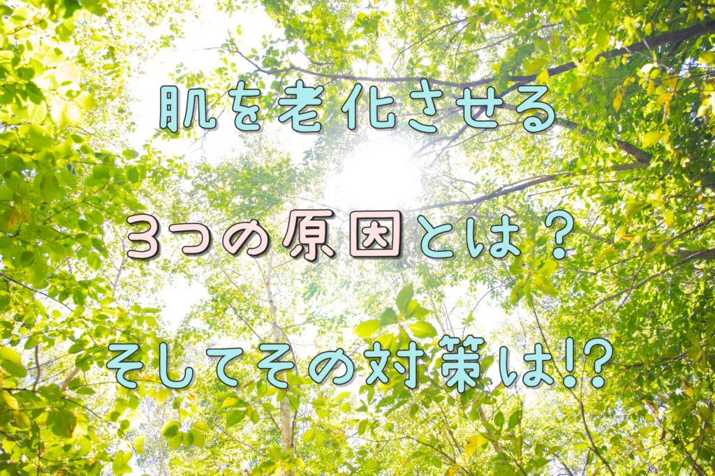 肌を老化させる３つの原因とは？そしてその対策は！？