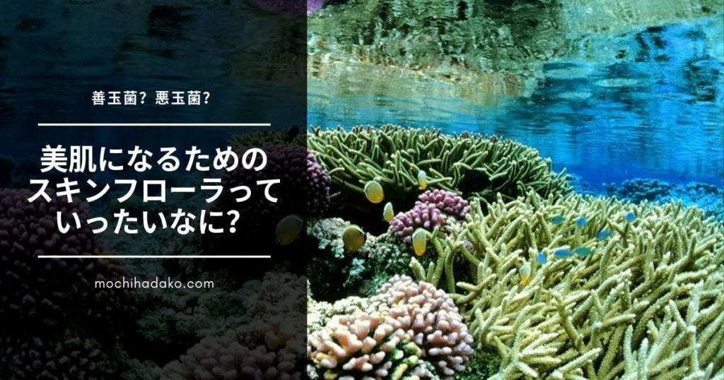 善玉菌？悪玉菌？美肌になるためのスキンフローラとはいったい・・・