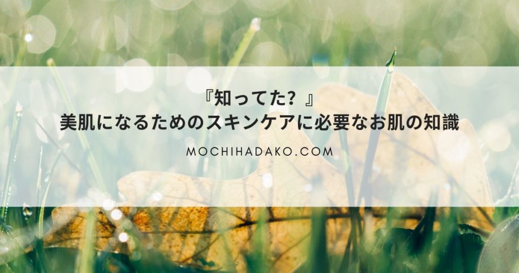 『知ってた？』美肌になるためのスキンケアに必要なお肌の知識