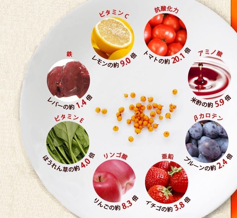 サジー成分比較